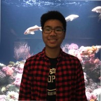 Capella Systems Employee Brandon Truong's profile photo