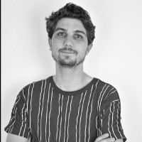 Vincent Dubois Email