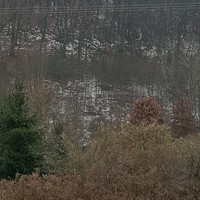 Brett Erb Email & Phone Number