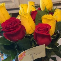 Carla Edmonds Email & Phone Number