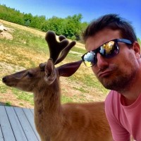 OMGSERV.COM Employee Nicolas Ropiot's profile photo