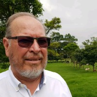 Ronald Vargas Bejarano Email