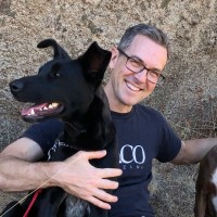 Mass Dynamics Employee Brendan Spinks's profile photo