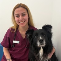 Vets Klinic Employee Zeynep Soylu's profile photo