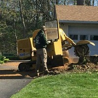 Lowery Lawn & Landscape, LLC Employee Chris Lamon's profile photo