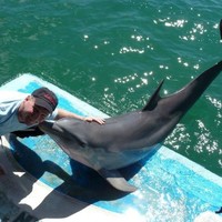 SCR Employee Rick Gaulin's profile photo