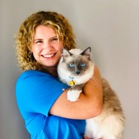 Alissa Daoudiya Email & Phone Number