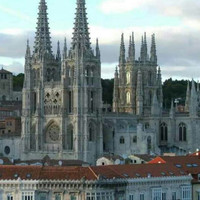 Jose Monis Email & Phone Number