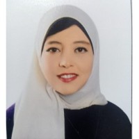 Nermeen Elhelaly Email