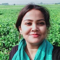 ICRIER Employee Raya Das's profile photo