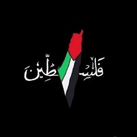 Mahmoud Reda Email