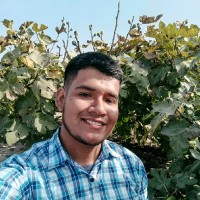 Marcelo Avalos Cabrera Email
