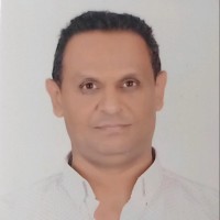 B Rental Employee Tamer Sayed's profile photo