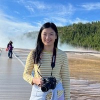 Applied StemCell Employee Lin Jiang's profile photo