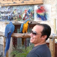 Ahmed Elkholy's profile photo