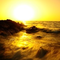 Hai Tran Email & Phone Number