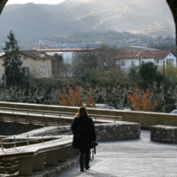 Toyota Material Handling Solutions Employee Lori Yogi's profile photo