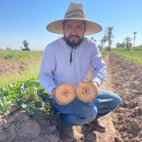 Green Valley Farm Supply Inc Employee Jack Valdivia's profile photo