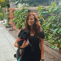 Kristie Powell Email & Phone Number