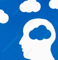 Cloudy Teacher Email