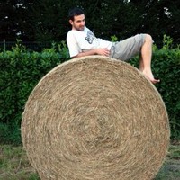 Roberto Somaschini Email