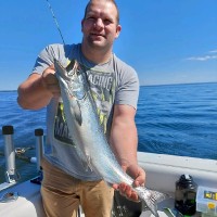 Domtar Employee Marc-André Renaud's profile photo