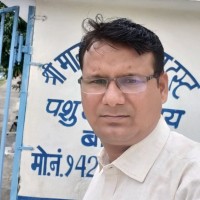 Meridian Medicare Ltd. Employee Ashok Prajapati's profile photo