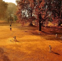 Scott Clark Email & Phone Number