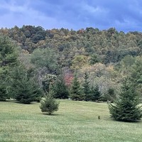 Princeton10, LLP Employee Courtney Tysinger's profile photo