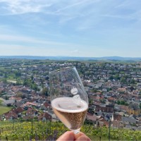 John Carroll Email & Phone Number