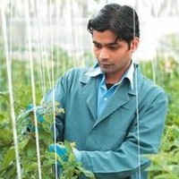 Junagadh Agricultural University, Junagadh (Guj.), India Employee Kunal Saini's profile photo