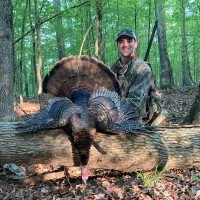 Siteworks, LLC Employee Rhett Cox's profile photo