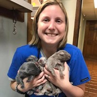 VETERINARY EMERGENCY CLINIC OF CENTRAL FLORIDA, LLC Employee Amanda German's profile photo