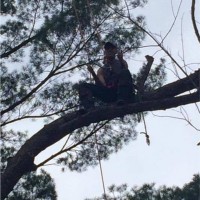 Abc Professional Tree Works Employee Glenn Neff Jr.'s profile photo