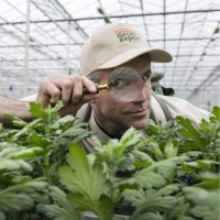 Van Iperen Employee Arco Lock's profile photo