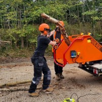 Timberwolf Employee Holly Brett's profile photo