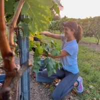 Frio Canyon Vineyard Employee Kim Leach's profile photo