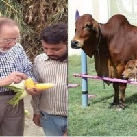 Solve Agri Pak (Private) Limited Employee Hafiz Wasi's profile photo