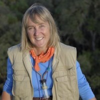 Tree Foundation Employee Margaret Lowman's profile photo