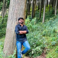 Bruce Clay India Employee Shivam Singh's profile photo