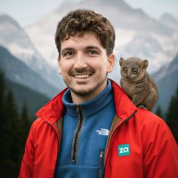 zaLAN Employee Žan Križnar's profile photo