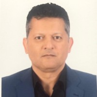 Wael Aly Email