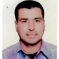 Khaled Shaaban Email
