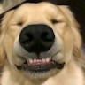 MegaZebra Employee Keith Seggie's profile photo