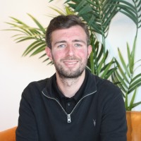Cognify Search Employee Daniel W's profile photo