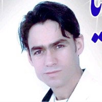 Sayed Hashimi Email