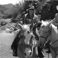 Nationwide Employee Ann Springer's profile photo