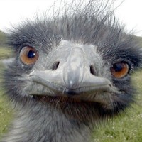 Nexus Mods Employee Ben Gosney's profile photo