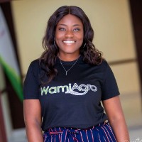 WamiAgro Employee Priscilla Offei-Asare's profile photo