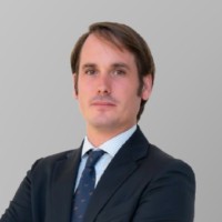 Pierluigi Grassi Email & Phone Number